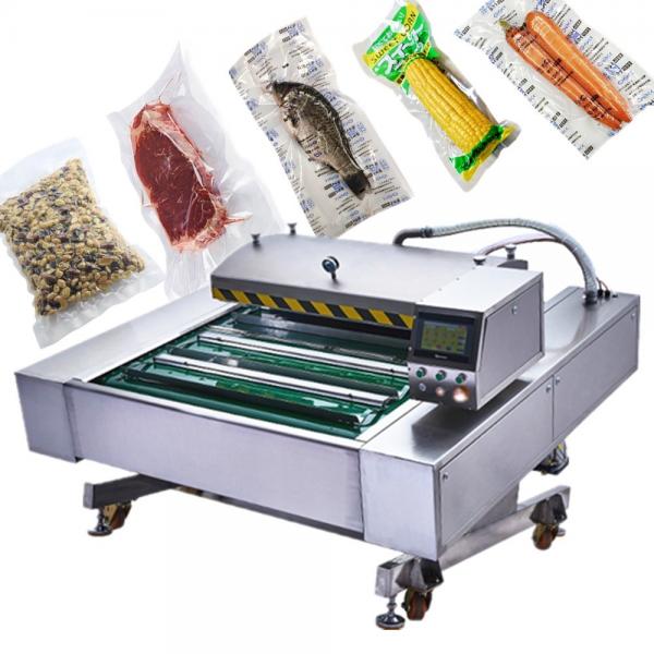 Quality 380V Conveyor Vacuum Seal Packing Machine IP65 Grade Automatic Sealing for sale