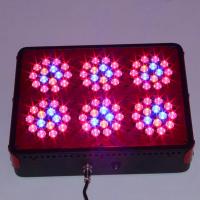China 270w Cidly led grow light with plant factories agricultural universities factory
