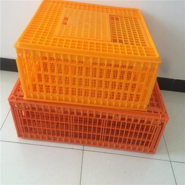 Quality Pure PE Poultry Carrier Crate Chicken Transport Cage Customized for sale