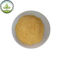 China lemon juice powder  buy organic powdered lime best  health benefits supplement bulk  factory