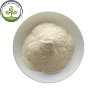 China Food Grade cili juice powder/ Rosa Roxburghii  For Instant Tea Powder factory