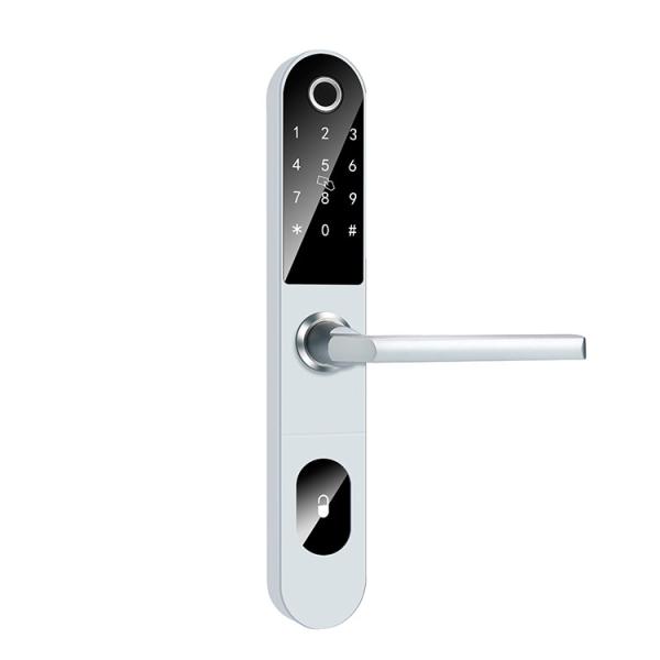 Quality APP Biometric Fingerprint Door Lock Keyless Entry 300mm for sale