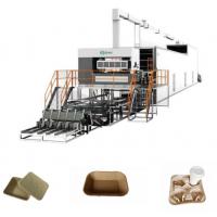 China Disposable Paper Tray Making Machine Automatic Molded Pulp Machine factory