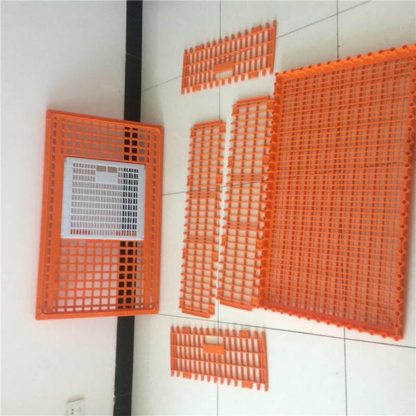 Quality Pure PE Poultry Carrier Crate Chicken Transport Cage Customized for sale