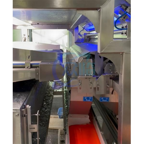 Quality Stainless Steel Shrimp Deheading Machine 380V 50Hz Practical for sale