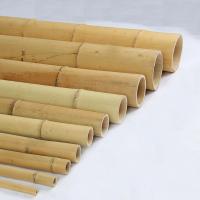 China Dried Treated Gardening Bamboo Sticks Poles Canes Stakes 16cm For Construction factory