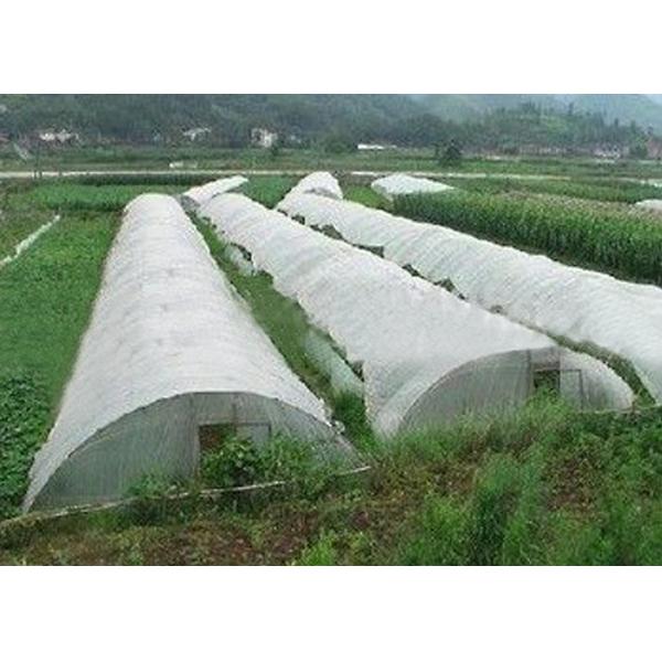Quality Lightweight Agriculture Non Woven Fabric Various Colors Available for sale