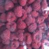 China FDA Certified Top Delicious Bulk IQF Fruit Frozen Whole Raspberry for jam yogurt juice factory