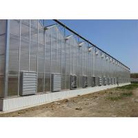china Shouguan Agricultural Glass Greenhouse Hot Dip Galvanized Rust Prevention Design
