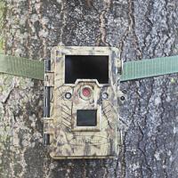 China Hunting Digital Wildlife Camera , Infrared Hunting Camera That Camera Trap factory