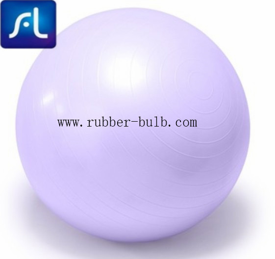 China Home Pilate Fitness 55cm Stability Balance Ball with Inflation Pump factory