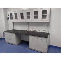 China Professional Design 25.4 mm Phenolic Resin Board Steel Workbench Fume Cupboard Chemistry Lab Furniture Equipments factory