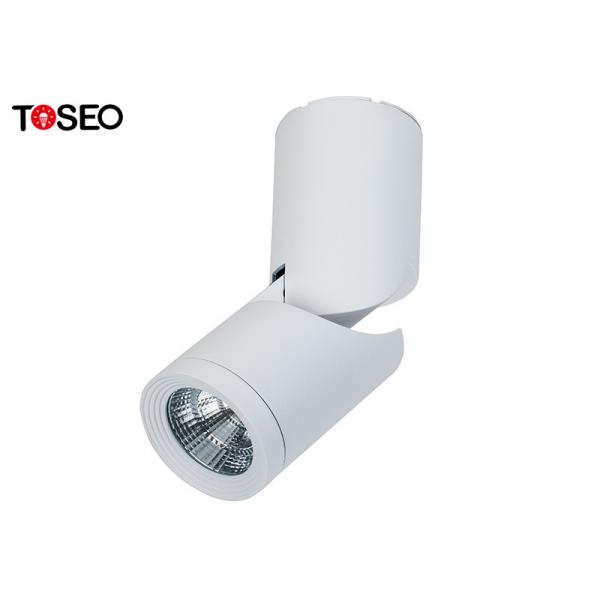 Quality COB 220V Ceiling Cylinder Surface Mounted Downlight For Showroom for sale
