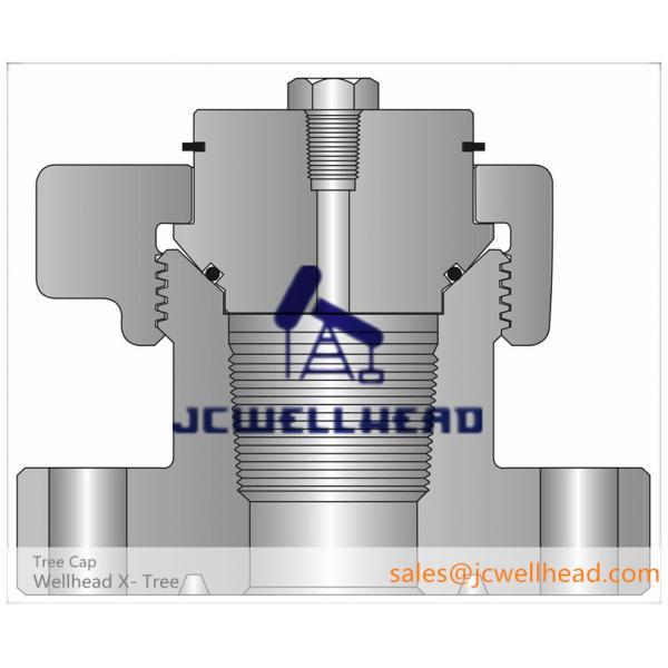 Quality Alloy Steel Oil Wellhead Christmas Tree Cap PLS 3 Production Level for sale