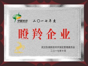 2017年度瞪羚企业