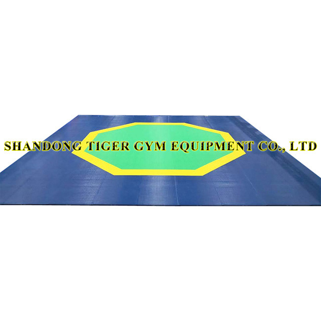 China taekwondo mat octagonal and square type for competition and training factory