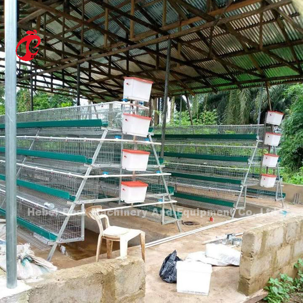Quality Nigeria Warehouse Premium And Deluxe Poultry Battery Cage System For Layer Chickens  Sandy for sale