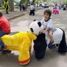 China Hansel motorized plush riding animals coin rides engine cars for children walking animals factory