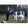China Sun Proof Lifelike Animatronic Animals / Milk Cow Customization Acceptable factory