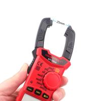 China Manual Sound And Light Alarm 2000uF Digital Clamp Meters factory