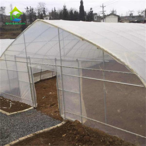 Quality Serre Gothique 240m2 Poly Tunnel Greenhouse Economical Gothic Arch Greenhouse for sale