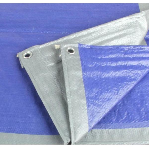 Quality Heavy Duty Tear Resistant Waterproof Plastic Tarpaulin, Poly Tarp Fabric, PE for sale