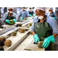 China Pineapple Juice Puree Beverage Production Processing Line UHT Sterilizing factory