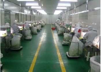 China Factory - CHINA MARK FOODS TRADING CO.,LTD.