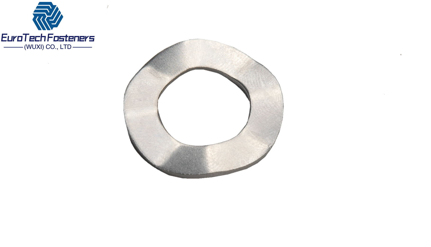 China 7/16 5/16 3/8 5/8 M6 M8 M10 Stainless Steel Wave Washer 24mm 17mm Wave Spring Washer For Bearing factory