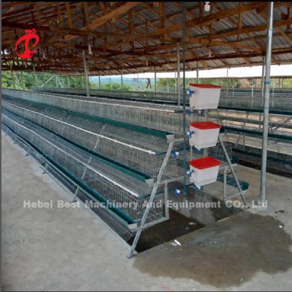 Quality Commercial Chicken Layer Battery Cage System 2.0m*2.0m*1.45m In Nigeria Star for sale