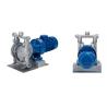China Electric Pneumatic Diaphragm Pumps With Aluminum Alloy Housing DN125 factory