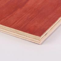 China Commercial 18mm Structural Plywood Sheets Eucalyptus Pine Plywood Sheets factory