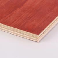 China Commercial 18mm Structural Plywood Sheets Eucalyptus Pine Plywood Sheets factory