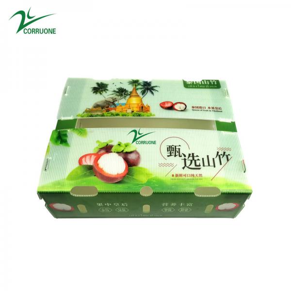 Quality Wholesale Custom Printed Foldable Transparent Plastic Corrugated Square Packaging Display Fruit Boxes With Lids for sale