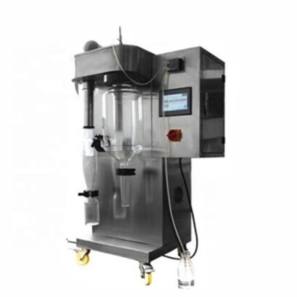 Quality Small Nano Vacuum Protein Powder Milk Drying Machine for sale