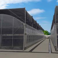 China Multi-Span Agricultural Polycarbonate Sheet Greenhouse For Departs Tropical Greenhouse factory