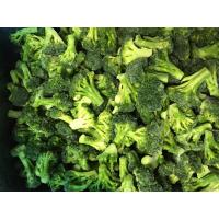 China New Winter Crop No Worm IQF Frozen Broccoli Florets factory
