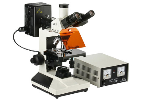 Quality Epi-Fluorescence Science Lab Microscope 4X 100X Light Microscope Biology for sale
