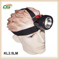 China High Power Waterproof LED Head Torch / Hunting Headlamps 1w CE factory
