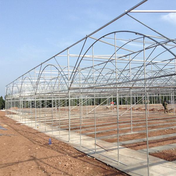 Quality Strong Structure Heavy Duty Plastic Greenhouse / Plastic Tomato Greenhouse for sale