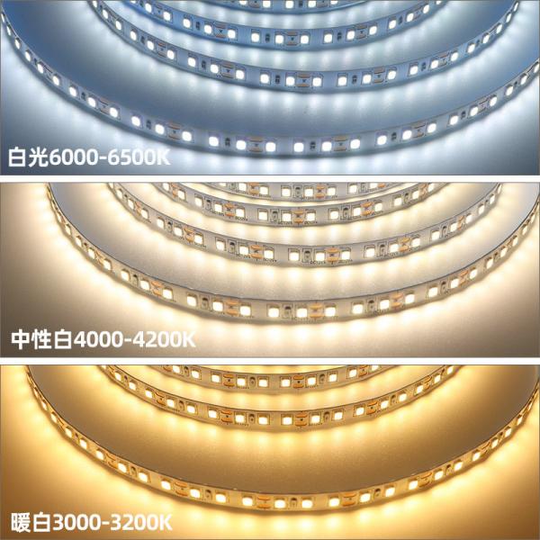 Quality 10mm 240leds Self Adhesive LED Strip 22W/M Warm White Cool White Led Strip for sale