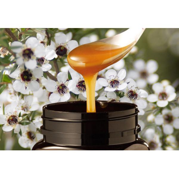 Quality Manuka Honey Best gift 100% Natural UMF5+ Natural bee honey from New Zealand raw for sale