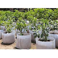 China Biodegradable Ground Cover Weed Control Fabric Landscape Mulch 100% Polypropylene factory