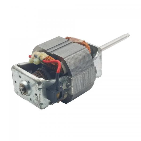 Quality 450W Alternating Current Induction Motor 110V Induction Electric Motor For Soymilk Machine for sale
