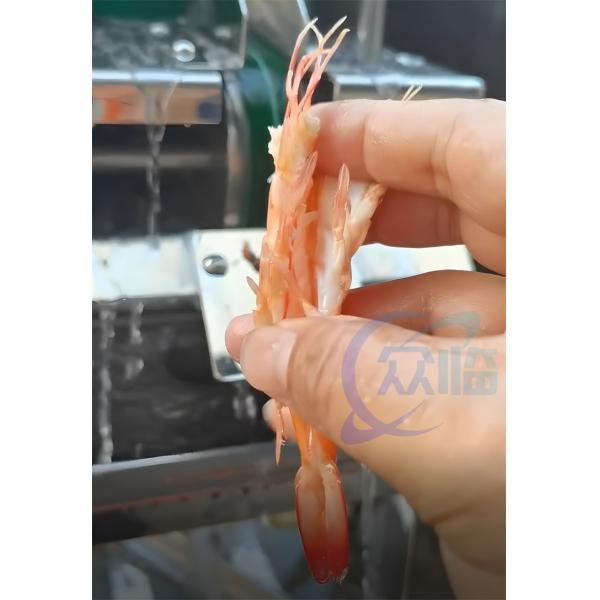 Quality Semi Automatic Shrimp Cutting Machine Stainless Steel Practical for sale