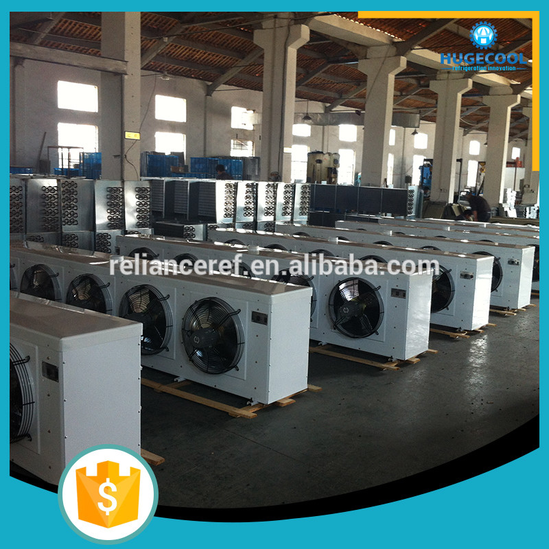 China Electric Power Hoisting Cold Room Air Cooler DD Series factory
