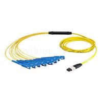 Quality MPO Fan Out Cable MTP F - SC OM3 12/24/48 Core Fiber Optic Patchcord for sale