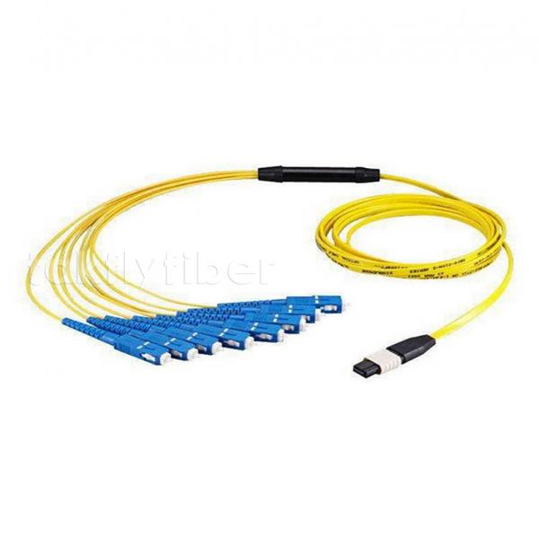 Quality MPO Fan Out Cable MTP F - SC OM3 12/24/48 Core Fiber Optic Patchcord for sale