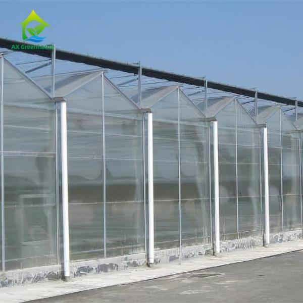 Quality Multispan PC Sheet Greenhouse for sale