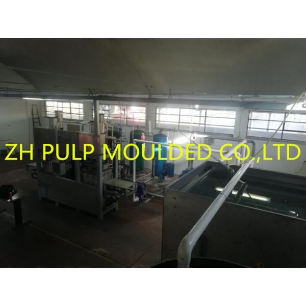 Quality Bagasse Eco Friendly Pulp Plate Making Machine 1T For Tableware for sale